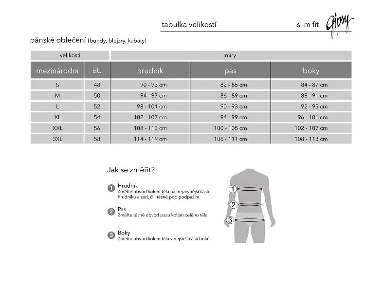 Černá pánská kožená bunda G2MShiru
